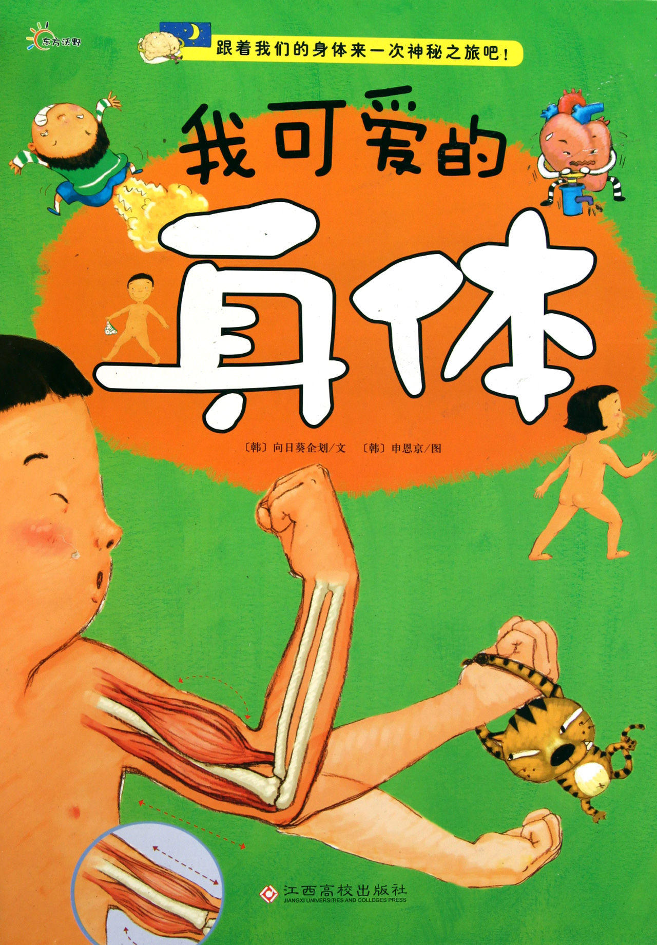 我可爱的身体
