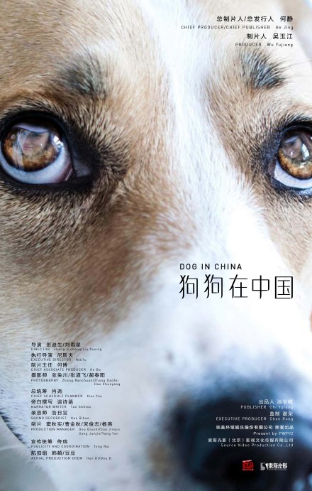 狗狗在中国
