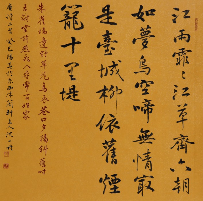 沈一丹