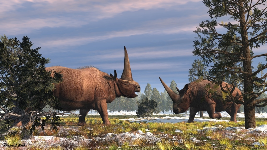 板齿犀(elasmotherium)