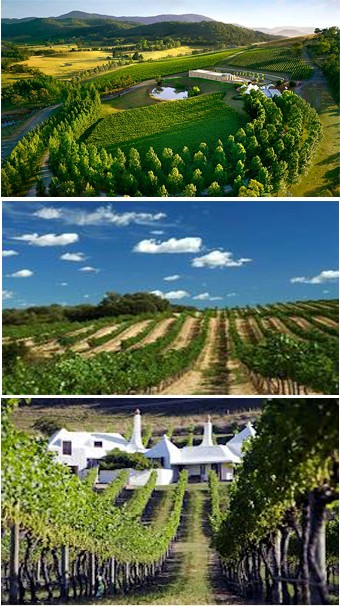 卡斯蒂利亚-拉曼恰葡萄酒产区