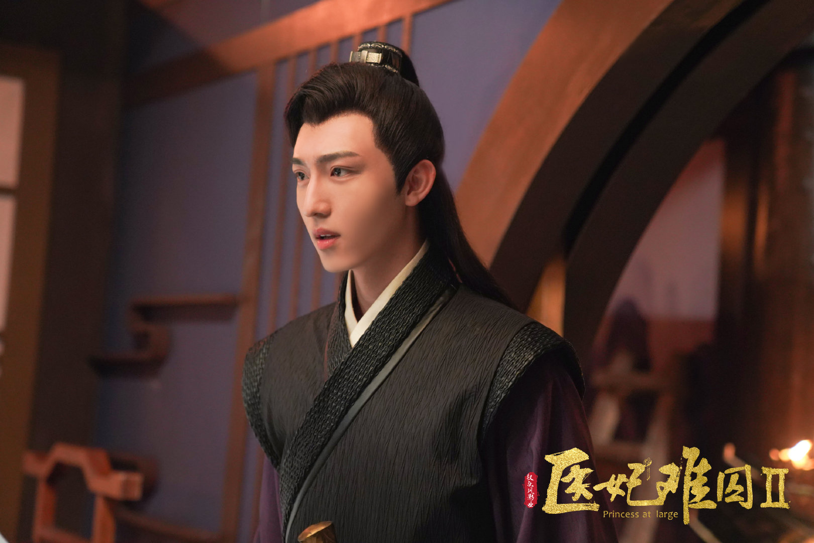 医妃难囚第二季