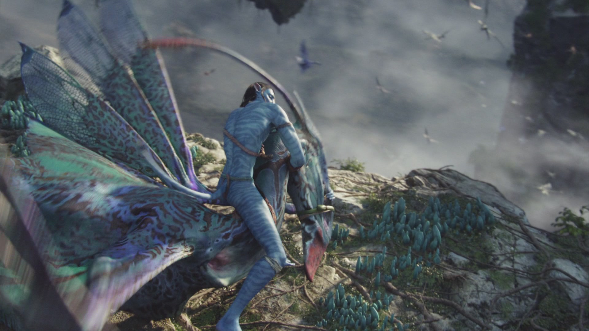  p>《阿凡达》 i>(avatar) /i>是一部由 a target="_blank" href="