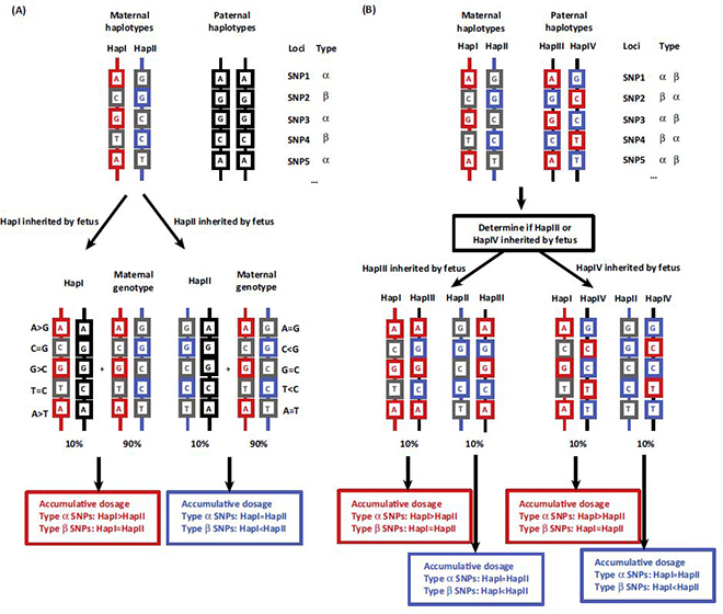  p>单体型(haplotype, a target="_blank" href="/item/haploid