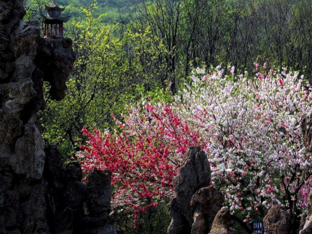 安徽韭山国家森林公园