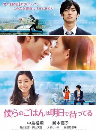 新木优子 百度百科