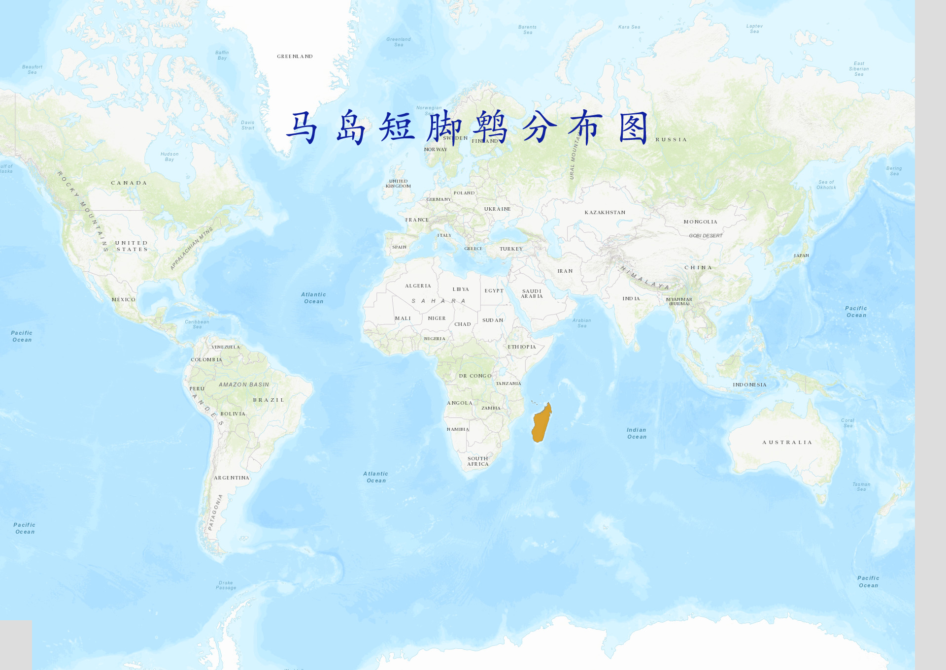  p>马岛短脚鹎(学名: i>hypsipetes madagascariensis /i>):属鸟纲,鹎