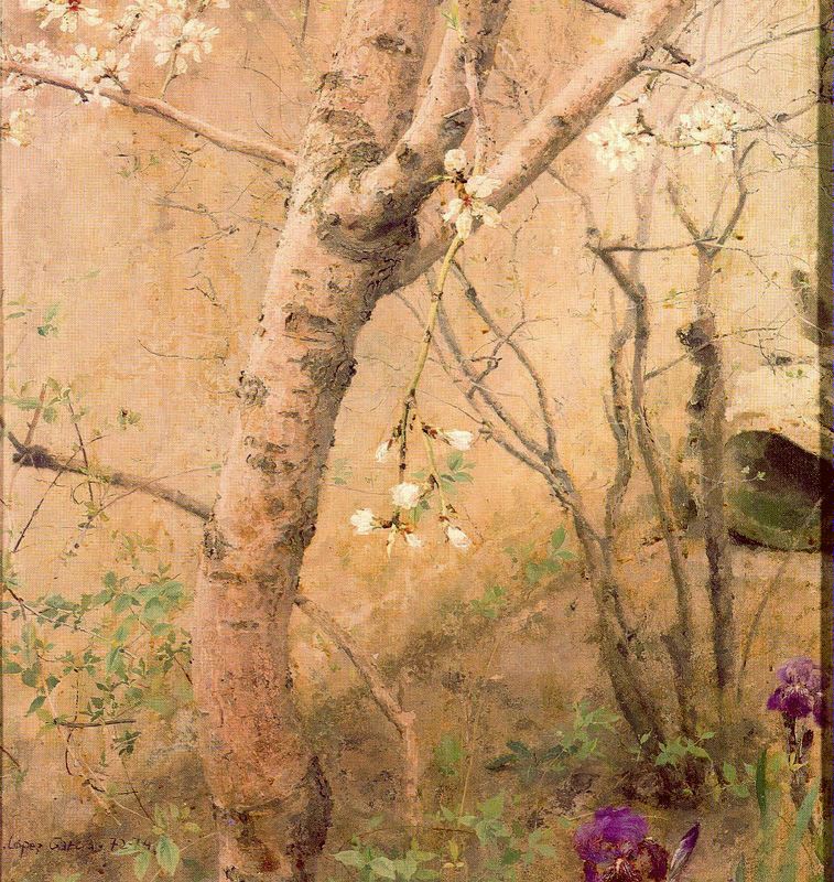 安东尼奥洛佩兹加西亚