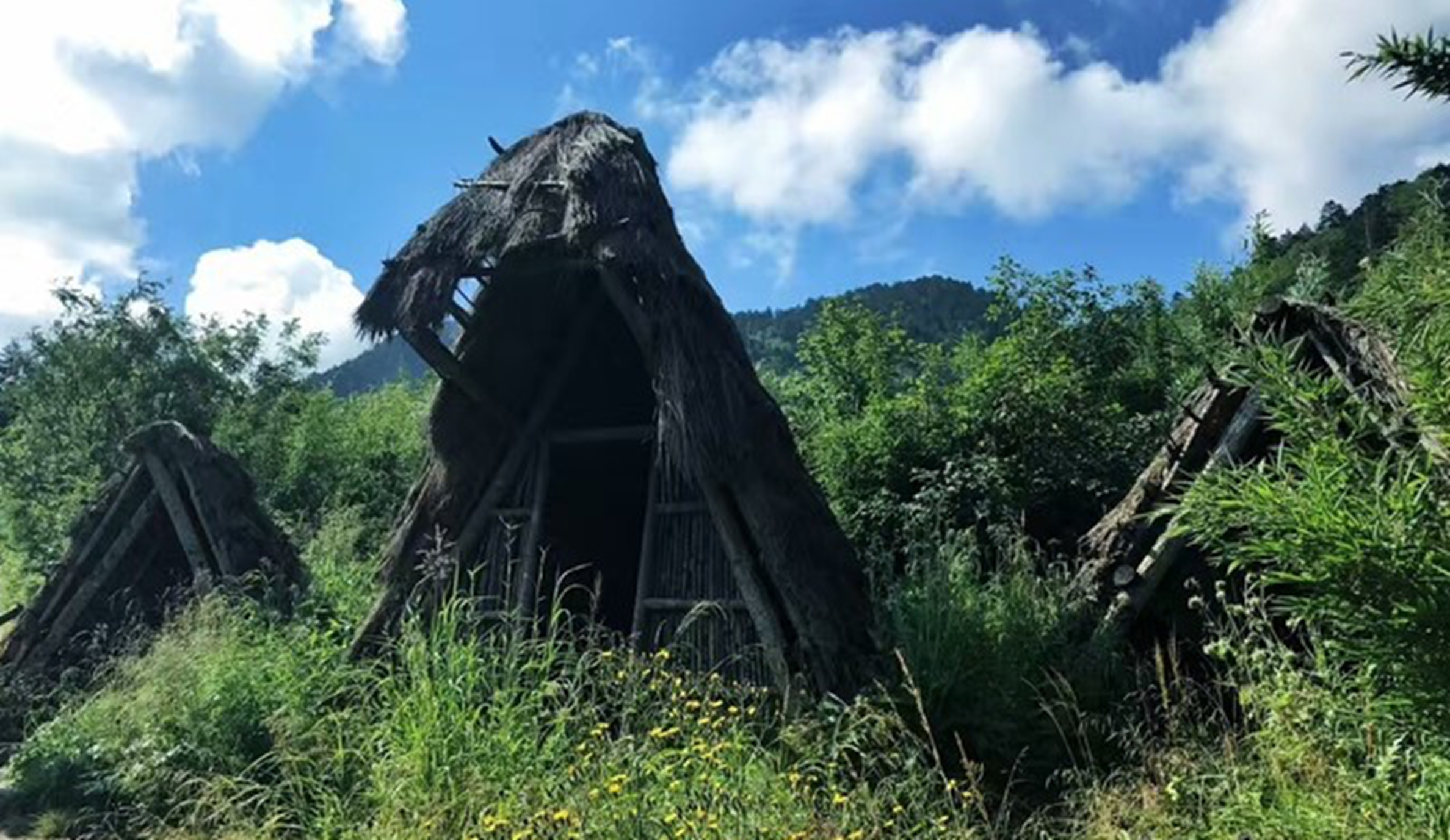  p>神农架林区,地处 a target="_blank" href="/item/湖北省/210064"