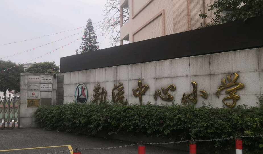 勒流中心小学