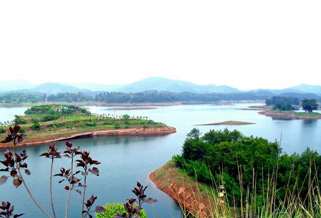 位于四川省仁寿县 a target="_blank" href="/item/黑龙滩镇/1385265"