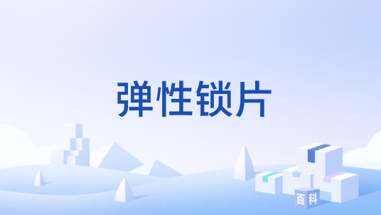 弹性锁片_百度百科