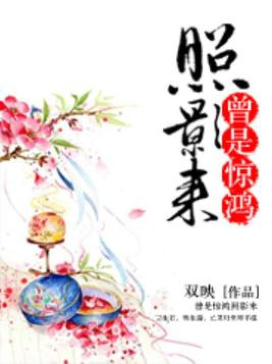 曾是惊鸿照影来