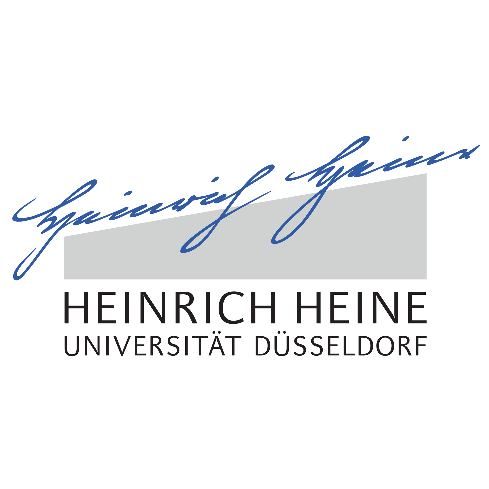 杜塞尔多夫大学