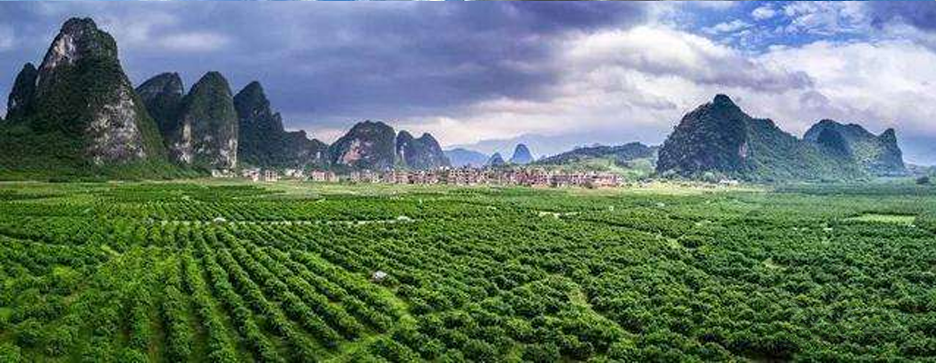  p>桥亭乡,广西壮族自治区桂林市平乐县下辖乡,位于平乐县境中部,东