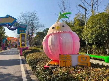 蒜鸟_百度百科