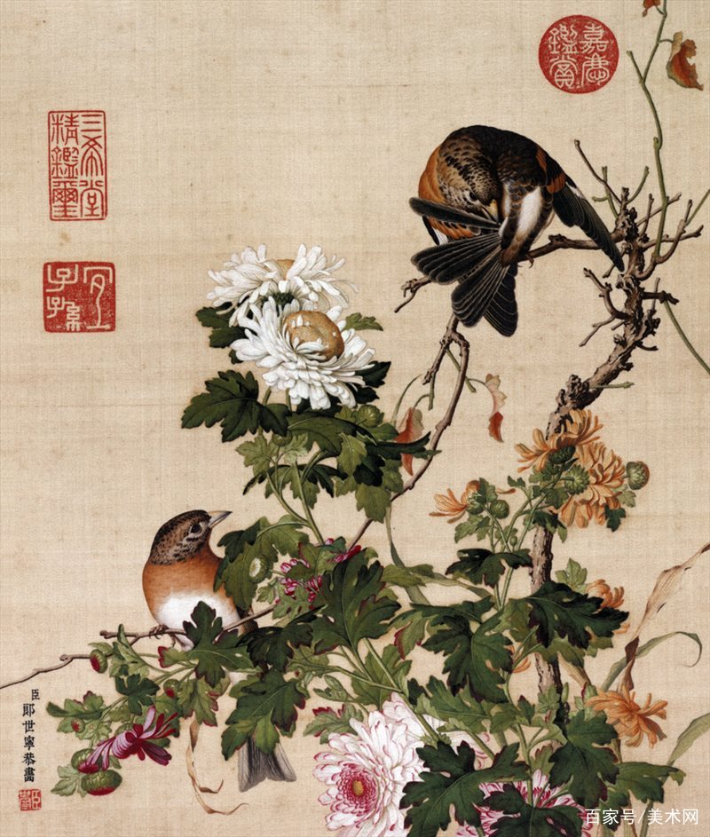 意大利画家郎世宁的花鸟图册，看着真养眼_百科TA说