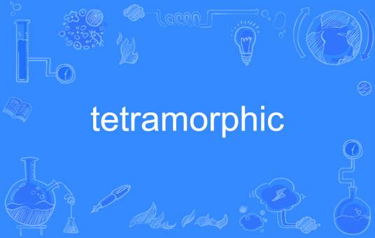 tetramorphic_百度百科