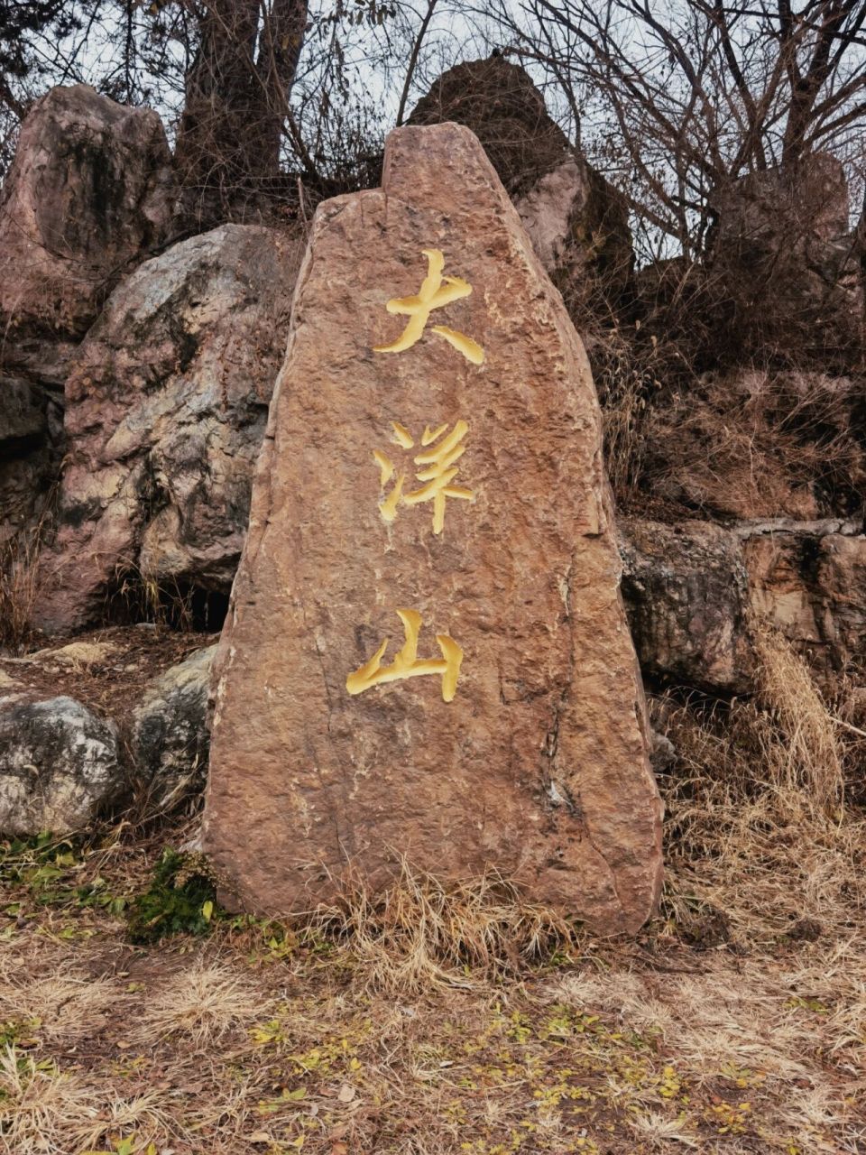 大洋山森林公园