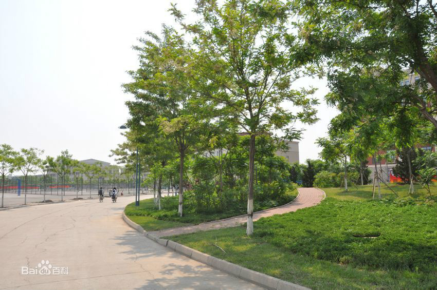 天津市大港区