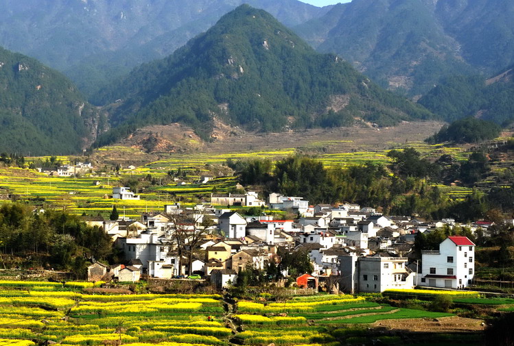 新农村建设的步子扎实而稳健,连续荣获绍兴市级文明村,绍兴市科普示范