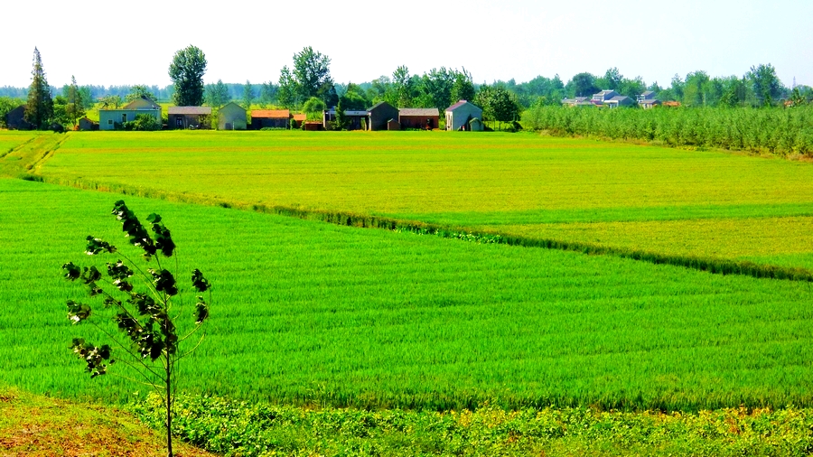 item/江苏省/320938" data-lemmaid="320938">江苏省 /a>盐城市滨海县