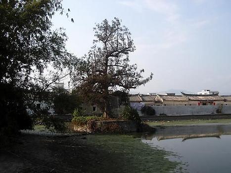 灰寨镇,隶属于广东省揭阳市揭西县,位于揭西县境中部丘陵地带,东南