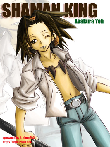 宏之 /a>创作的漫画《 a target="_blank" href="/item/通灵王/66033"