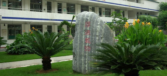 深圳市桂园中学