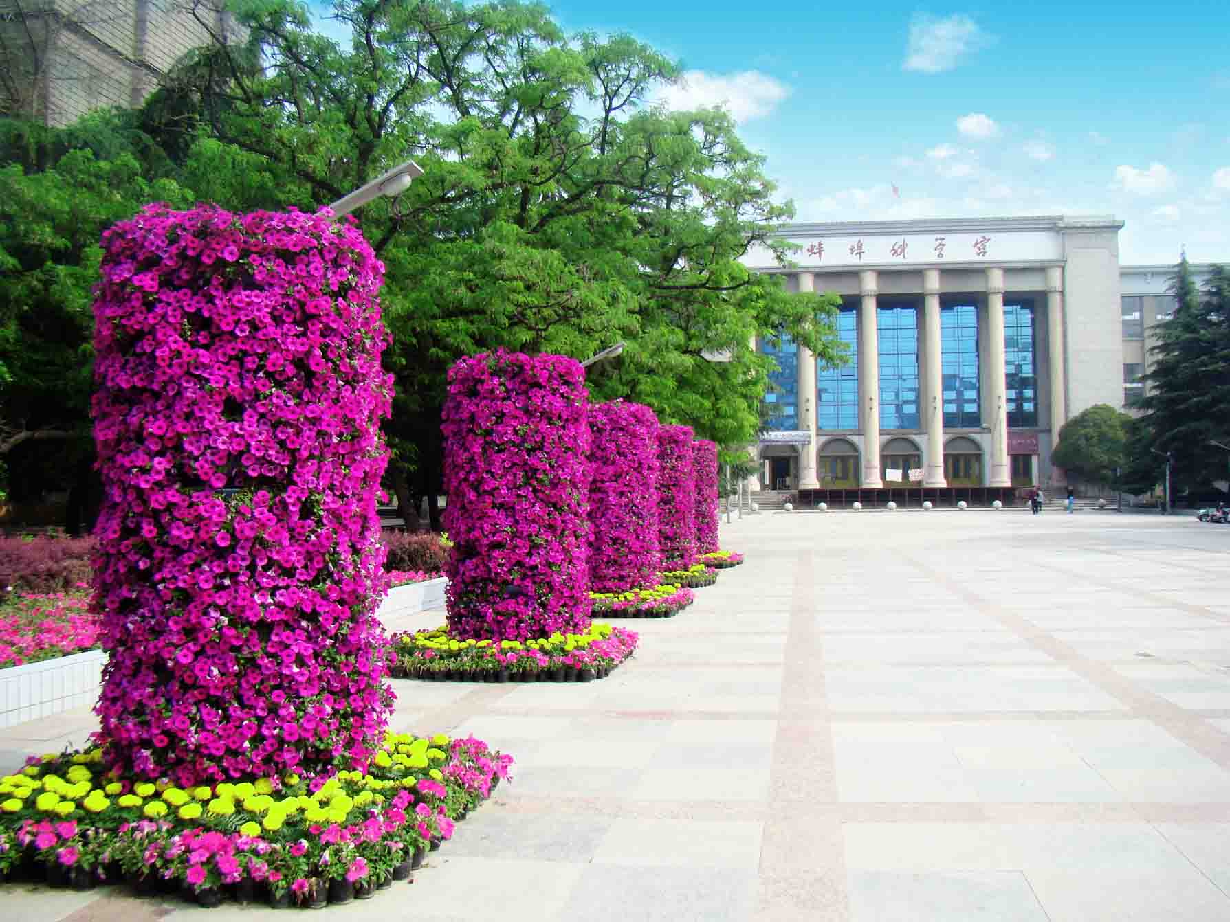 蚌山区天气马上知