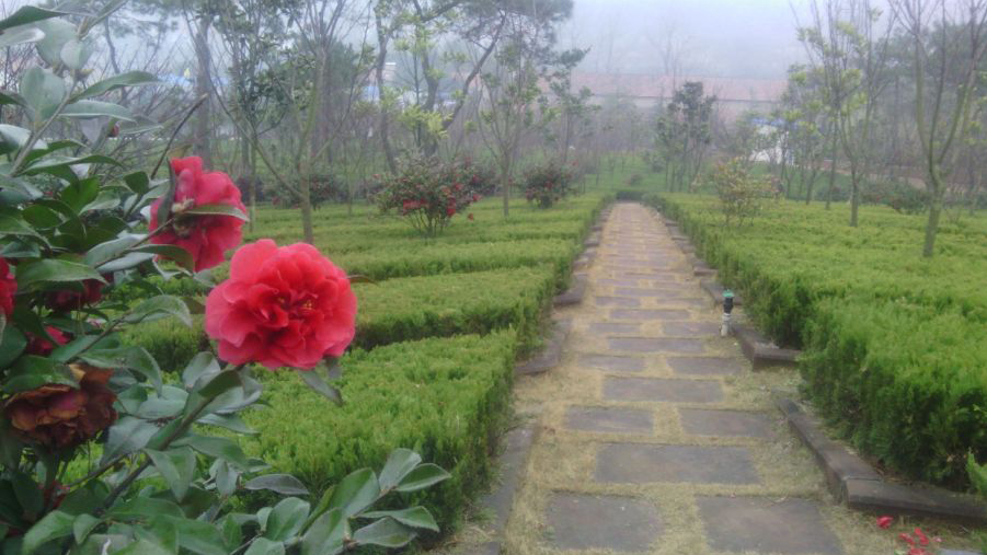 武汉幸福山生命公园