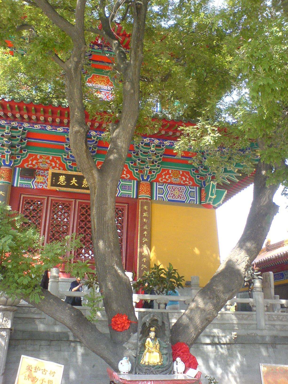  p>天津荐福观音寺位于天津市河东区 a href="#" data-lemmaid="