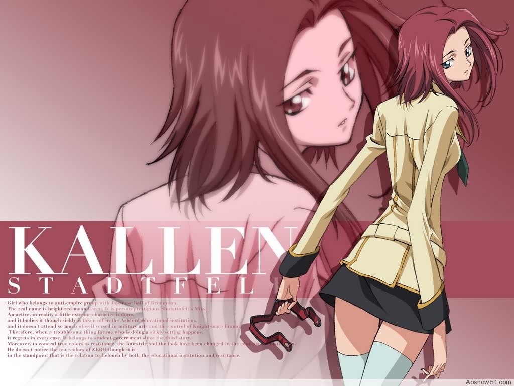 反叛的鲁鲁修之红莲骑士