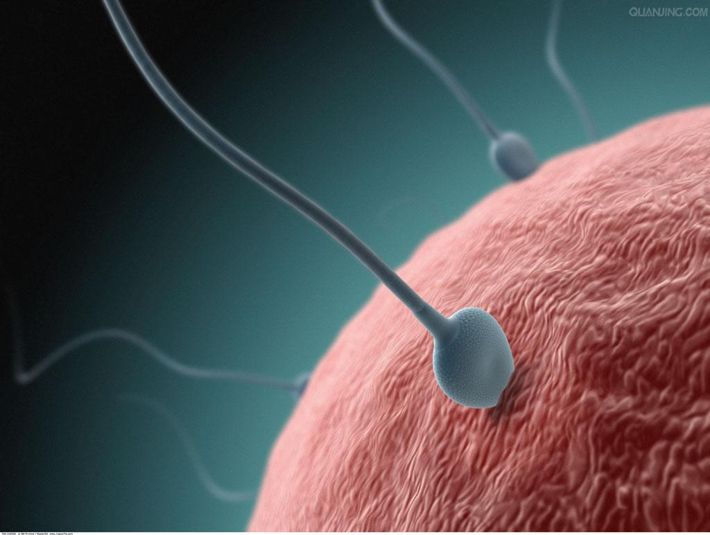 sperm abnormality
