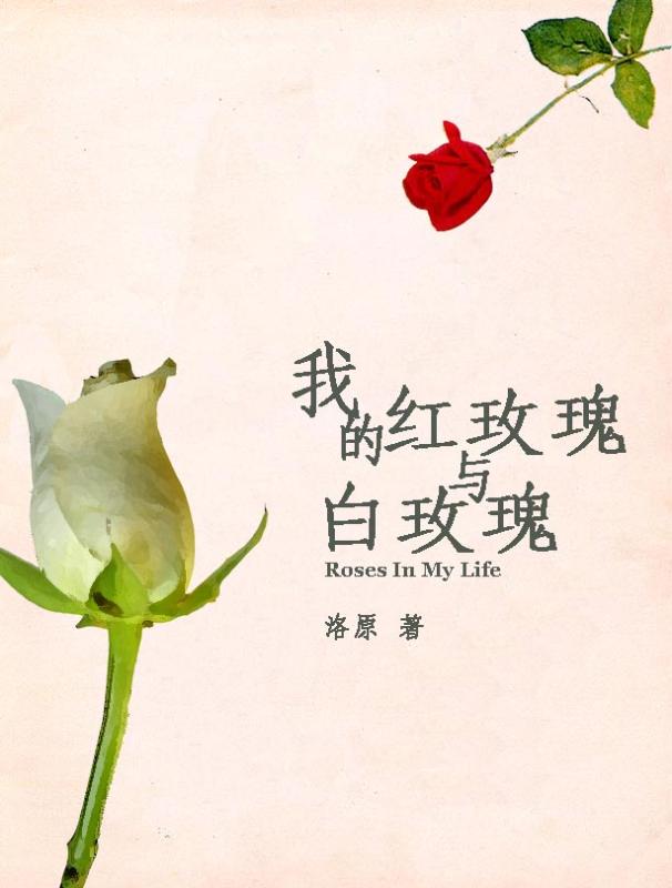 我的红玫瑰和白玫瑰