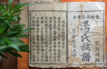 各地汤氏宗族谱