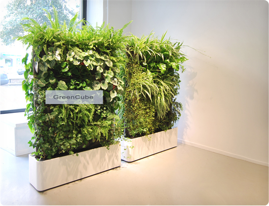  p>屏风隔断, a target="_blank" href="/item/植物屏风/9064739"