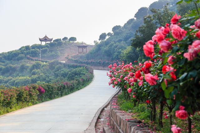  p data-id="gnvh2ch11p">喜来登杨梅小镇位于四川省成都市天府新区