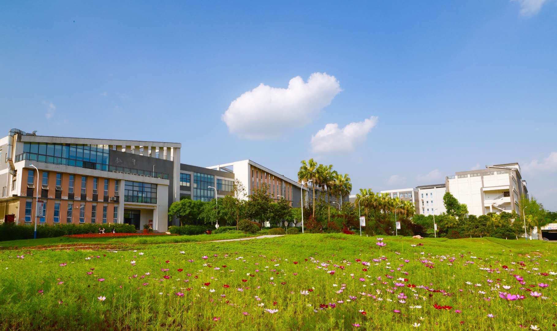 chongqing business vocational college