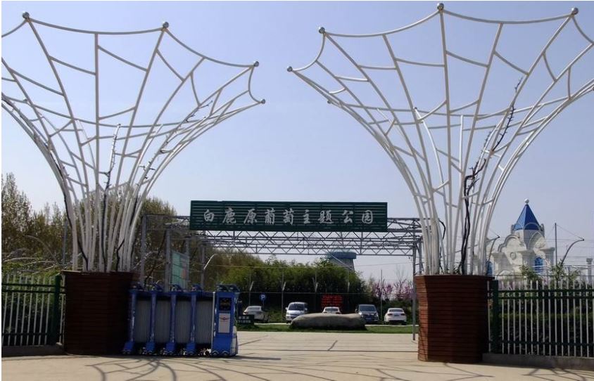 白鹿原葡萄主题公园