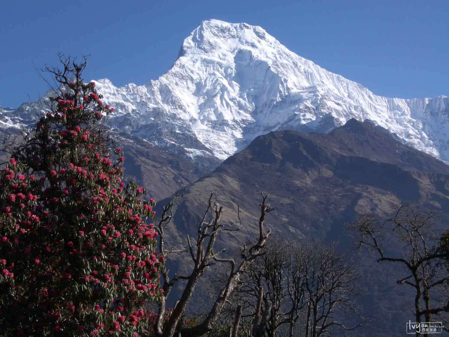  p data-id="gnx6nnzmsd">安纳普尔纳峰(annapurna),又译安纳布尔纳峰