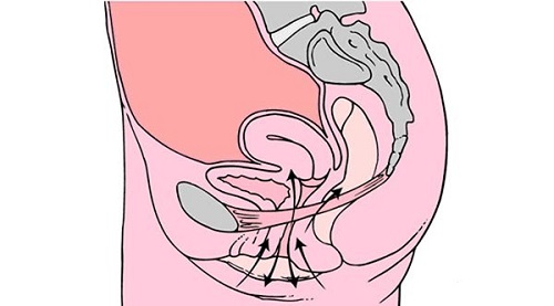 人类认识的进步, a target="_blank" href="/item/缩阴手术/8851984"