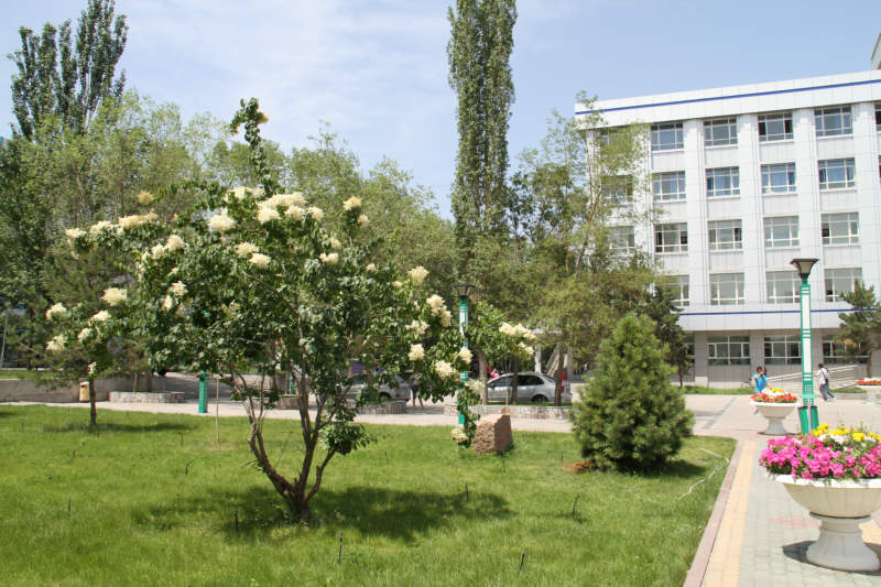  p>新疆轻工职业技术学院( xinjiang industry   technical college)