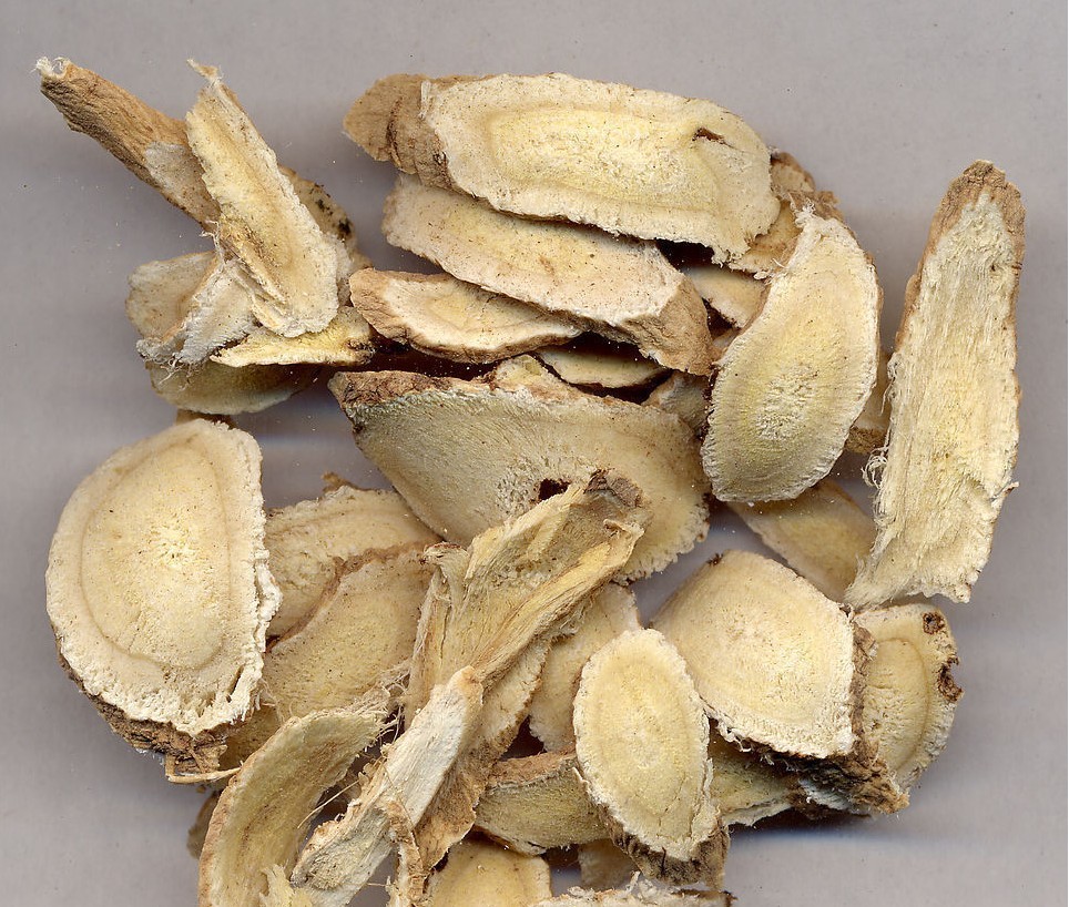  p>北芪,即黄芪,又名膜荚黄芪,因盛产于我国北方,故名北芪,主产于吉林