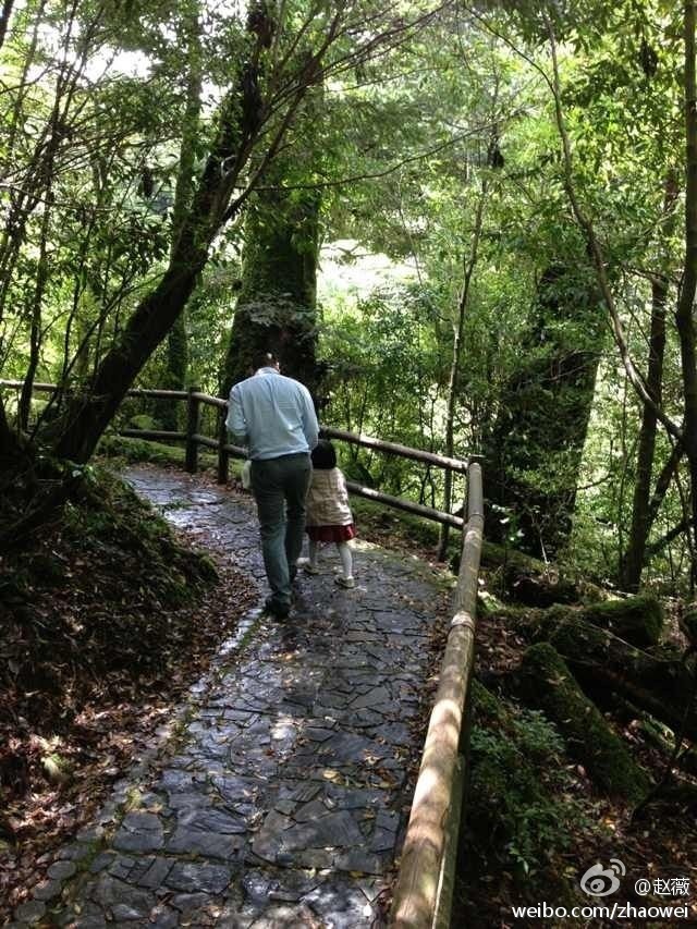 黄新