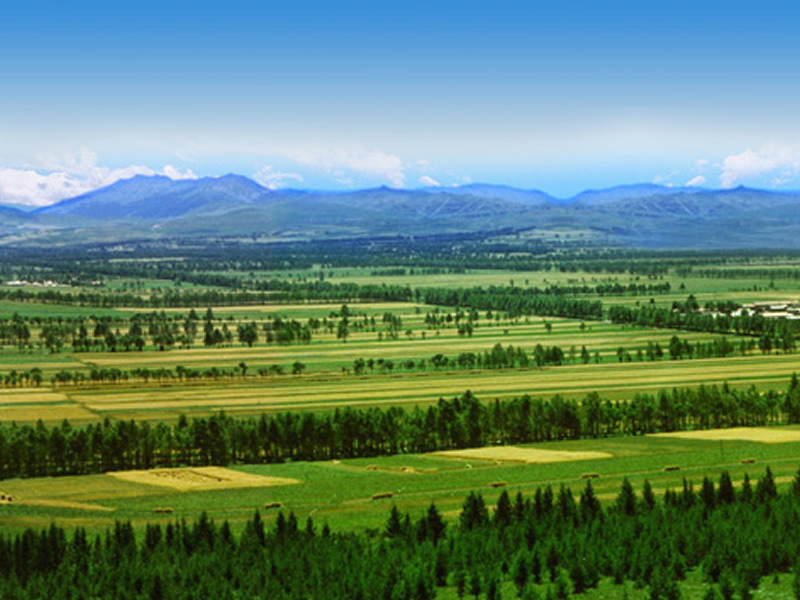 三北防护林体系工程