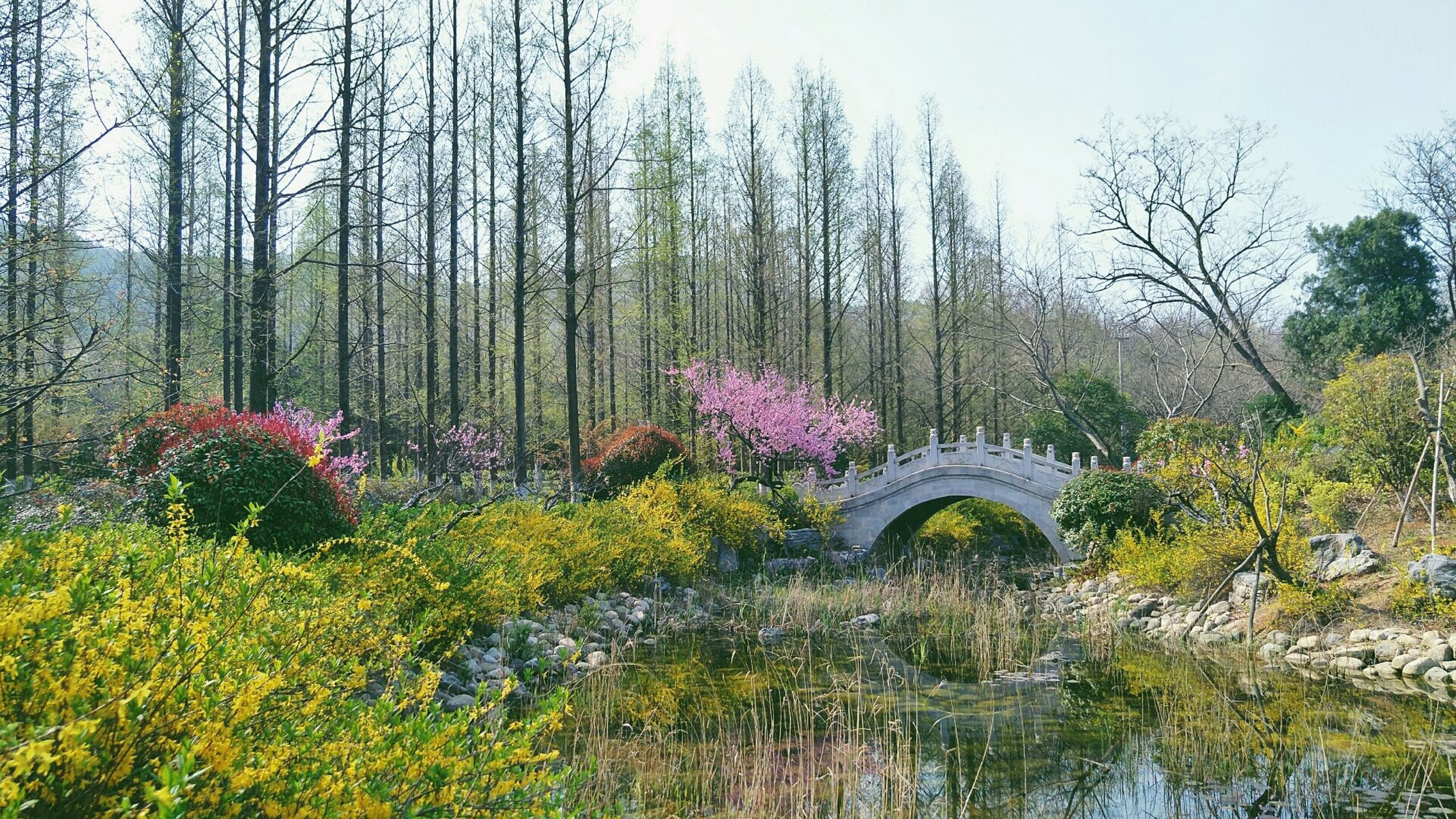 徐州泉山森林公园