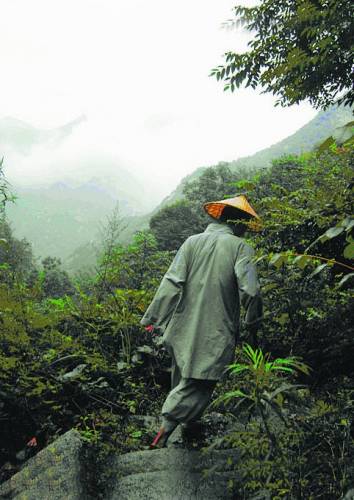 意指隐居终南山的 a target="_blank" href="/item/修行/2103848"