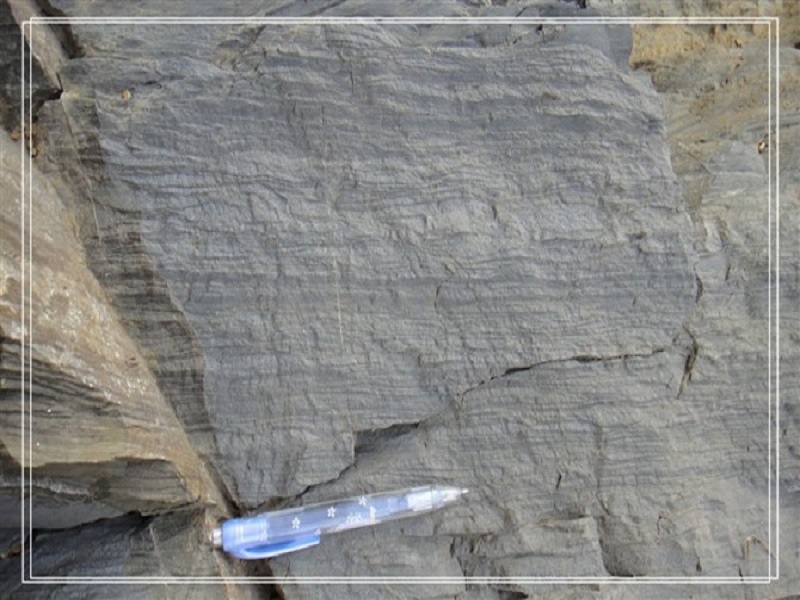 波谷与部分波脊中有不连续的泥质脉,又称 a href="#" data-lemmaid="