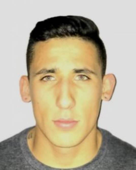 TORRES Nicolas_百度百科